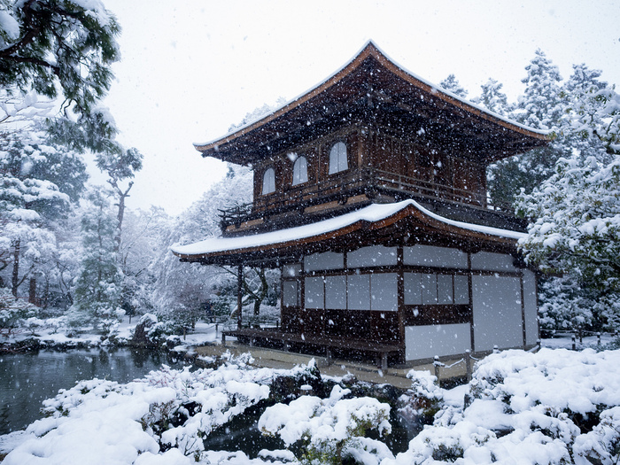 Зима в Японії (фото)