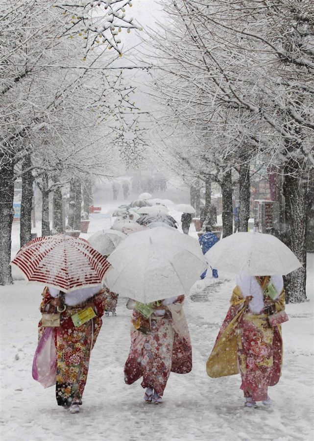 Зима в Японії (фото)