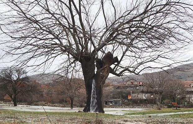 Фонтан з дерева - рідкісне природне явище в Чорногорії (фото)