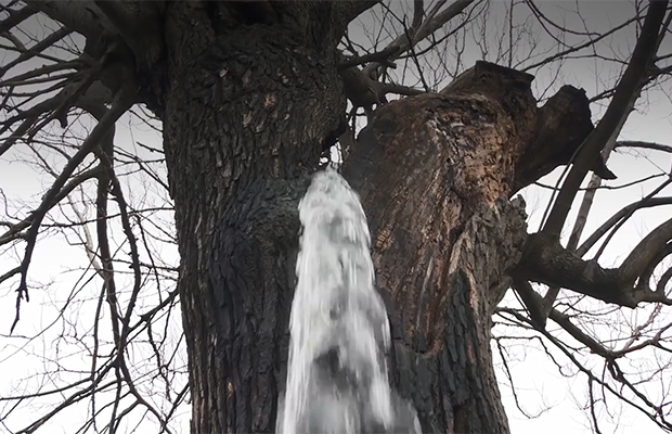 Фонтан з дерева - рідкісне природне явище в Чорногорії (фото)