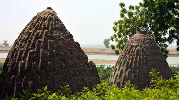 Мусгум: плем'я з Камеруну, яке створювало унікальні шедеври архітектури (фото, відео)