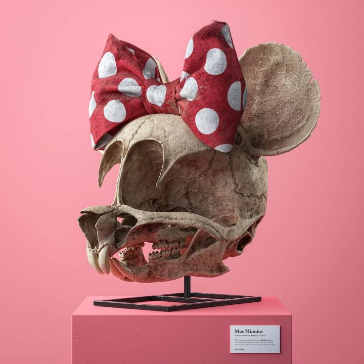Художник створив реалістичні 3D-ілюстрації черепів відомих анімаційних героїв (фото)