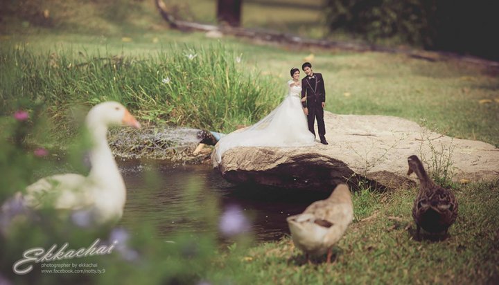 Весільний фотограф перетворює молодят в ліліпутів (фото)