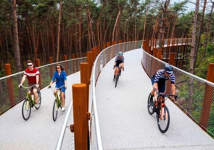 Велодоріжка на висоті 10 метрів над лісом в Бельгії (фото)