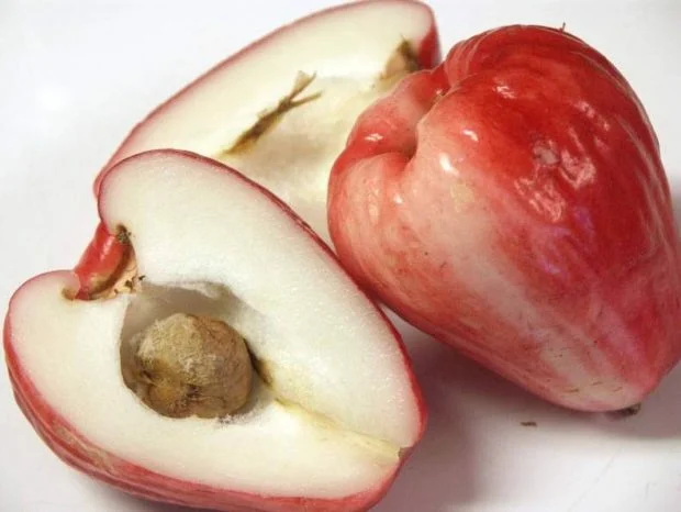 Сім сортів яблук, які ви навряд чи пробували (фото)