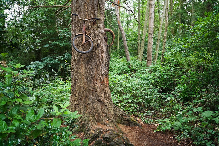 Що приховує легенда велосипеда в дереві? (фото)