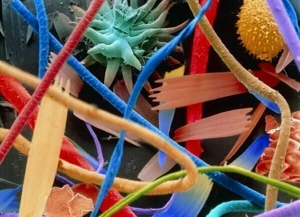 Звичайні речі під мікроскопом (фото)